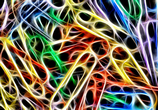 528456 (a): :2174x1515